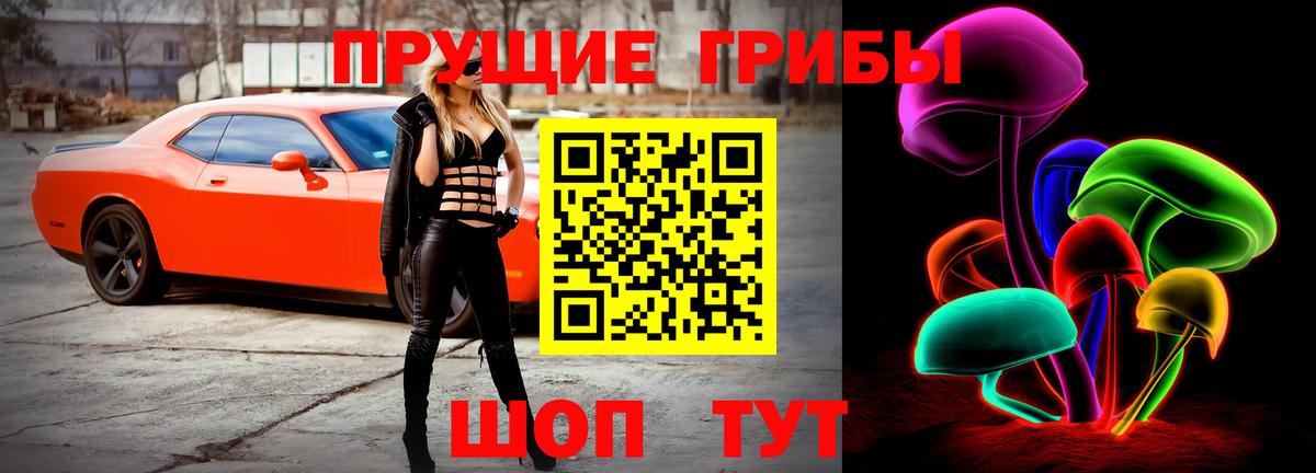 Псилоцибиновые грибы GOLDEN TEACHER Изобильный