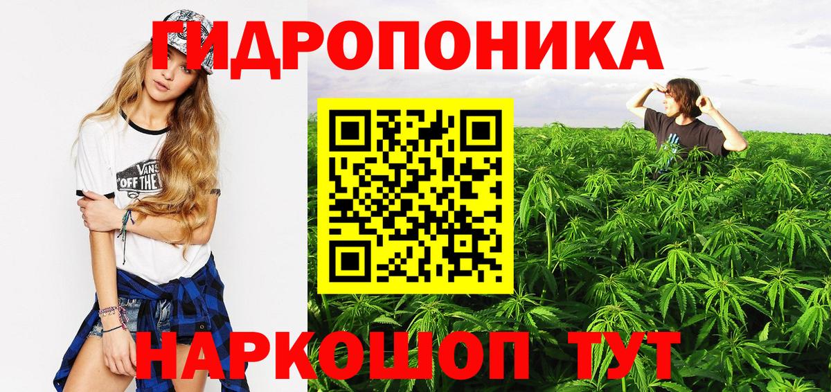 Марихуана White Widow  Вход с VPN  Изобильный  Бошки марихуана сатива 